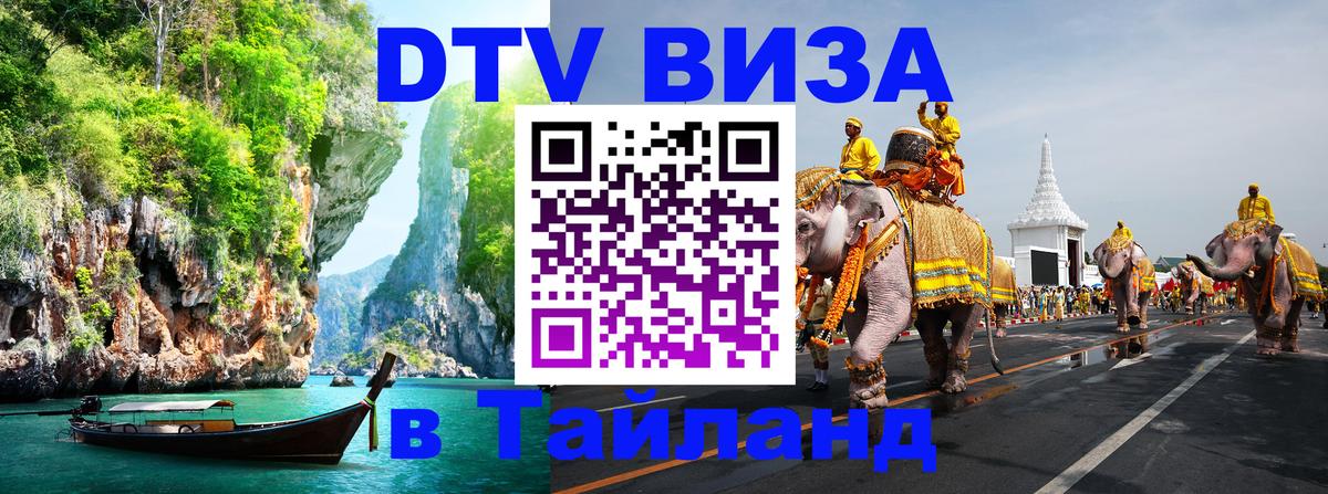 Оформление DTV визы под ключ: стоимость и тарифы, только загранпаспорт - 